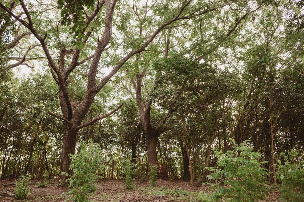 El Rincon - Casa De Campo كارميلو المظهر الخارجي الصورة